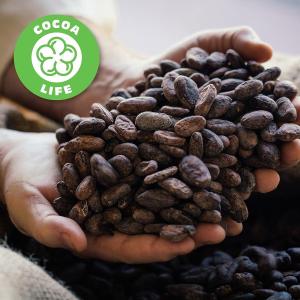 Cocoa Life Programme