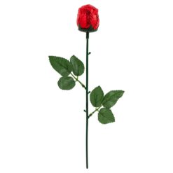 Chocolate Rose